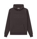 Fear of God Essentials Hoodie 'Plum'